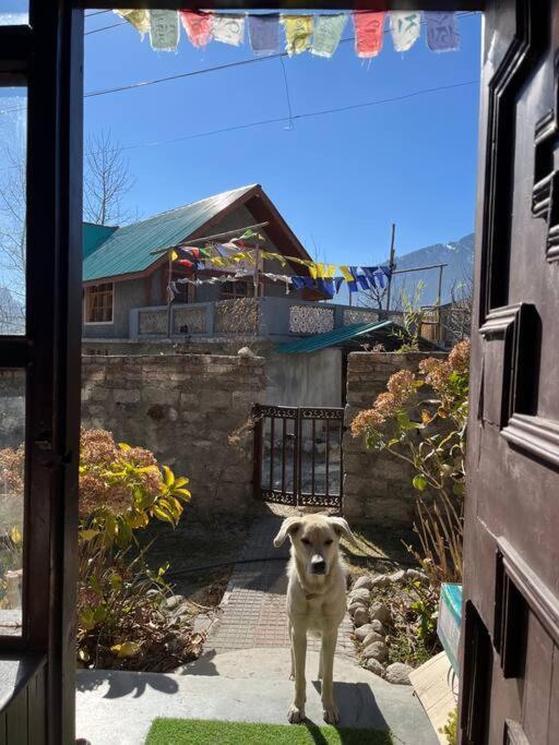 Gharsa - Your Mountain Home Manāli Extérieur photo